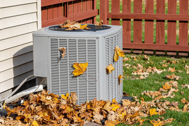 Best Furnace Cleaning in Easton, CA
